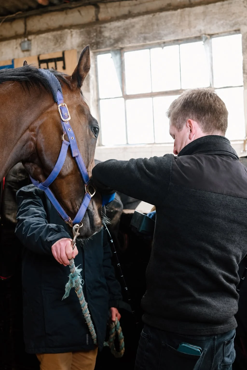 Max conducting equine endoscopy